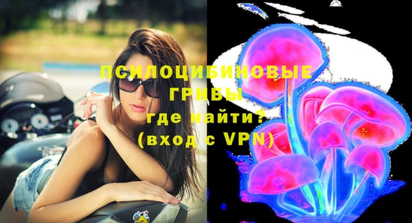 синтетический гашиш Няндома