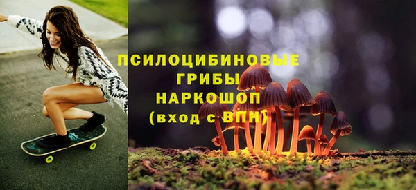 синтетический гашиш Няндома